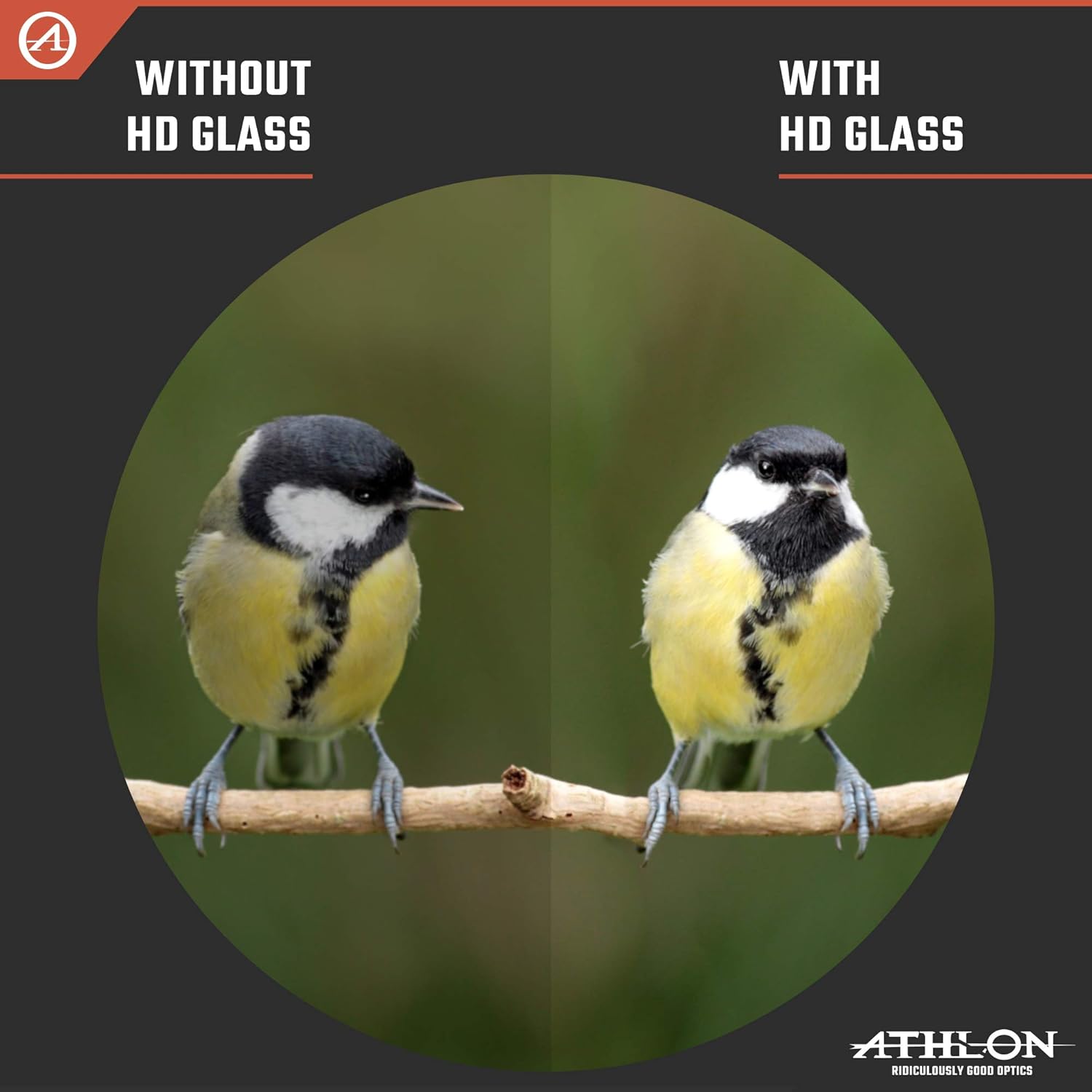 Athlon Optics 12x50 Argos G2 HD Gray Binoculars with Eye Relief , High-Powered Binoculars for Hunting, Birdwatching, and More